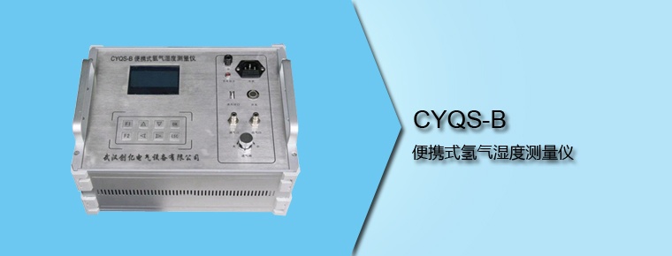 CYQS-B 便攜式氫氣濕度測(cè)量?jī)x