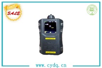 CY-YDQT 便攜式有毒氣體報(bào)警儀